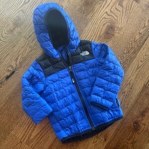 The North Face Blue and Black ThermoBall Jacket